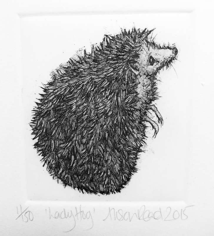 Lady Hog